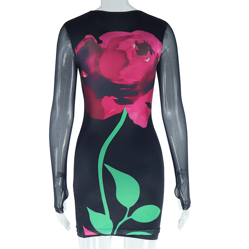 Women Print Round Neck Mesh Long Sleeve Bodycon Dress 8