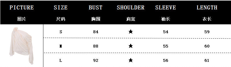 Women Sexy Slash Shoulder Chiffon Top 12