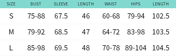 Women autumn contrast leopard print long sleeve Top and Pant two-piece set 10