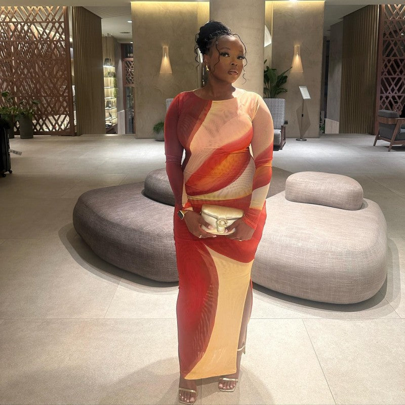 Women Spring Round Neck Long Sleeve Sexy Mesh Print Maxi Dress