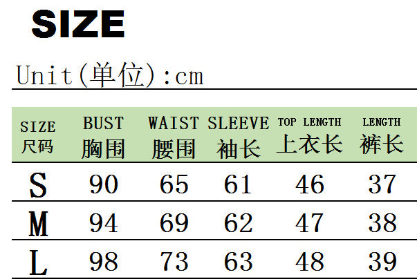 Spring Autumn Solid Color Long Sleeve Two Piece Skirt Set Casual Women's Clothing 17