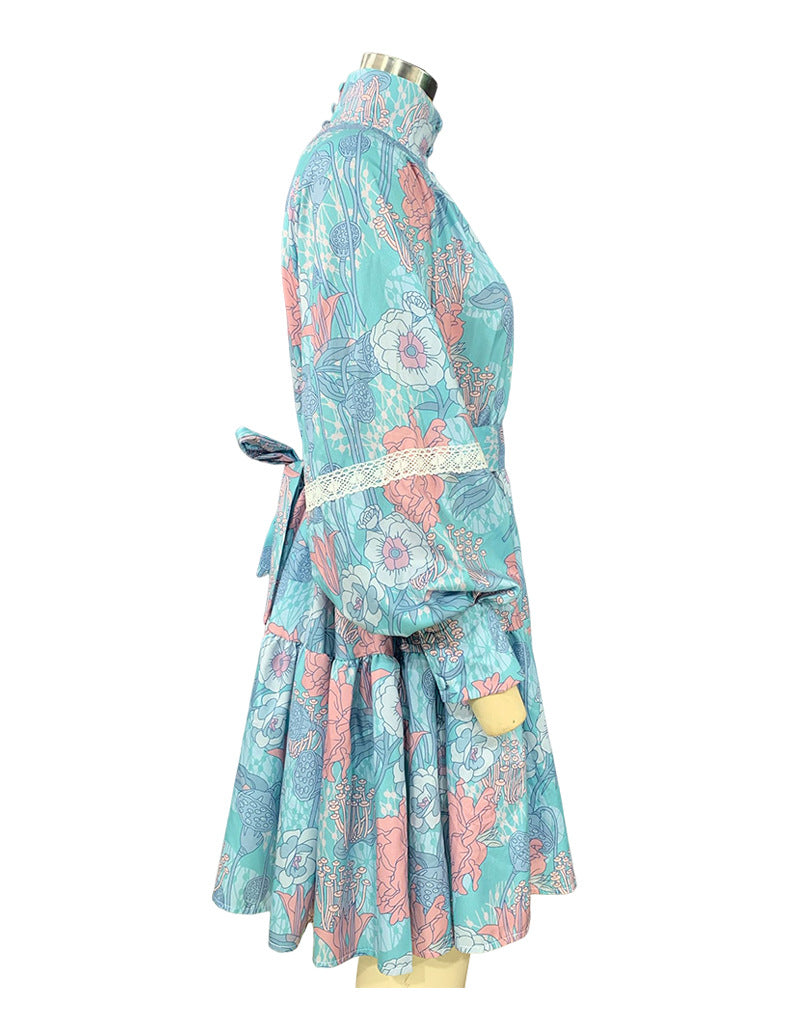 Spring Autumn Women's Fashion Chic Long Sleeve High Neck Swing Print Dress 8