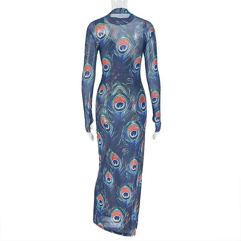 Stylish Women's Printed Sexy Sheer High Neck Long-Sleeve Slim Fit Long Dress 6
