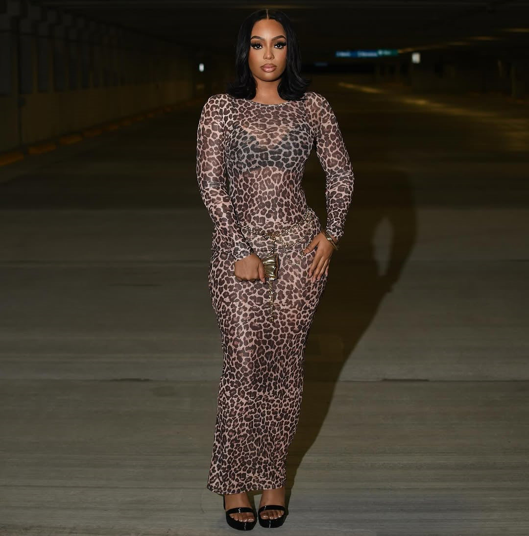 WomenŸ??s Sexy Fashion Sheer Mesh Leopard Print Slim Long Sleeve Dress 3