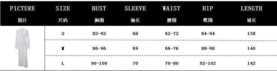 Autumn Sexy Lace Patchwork Fashion Street Slit Long Sleeve Dress 9