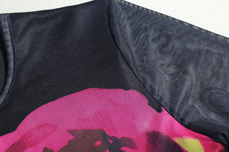 Women Print Round Neck Mesh Long Sleeve Bodycon Dress 13