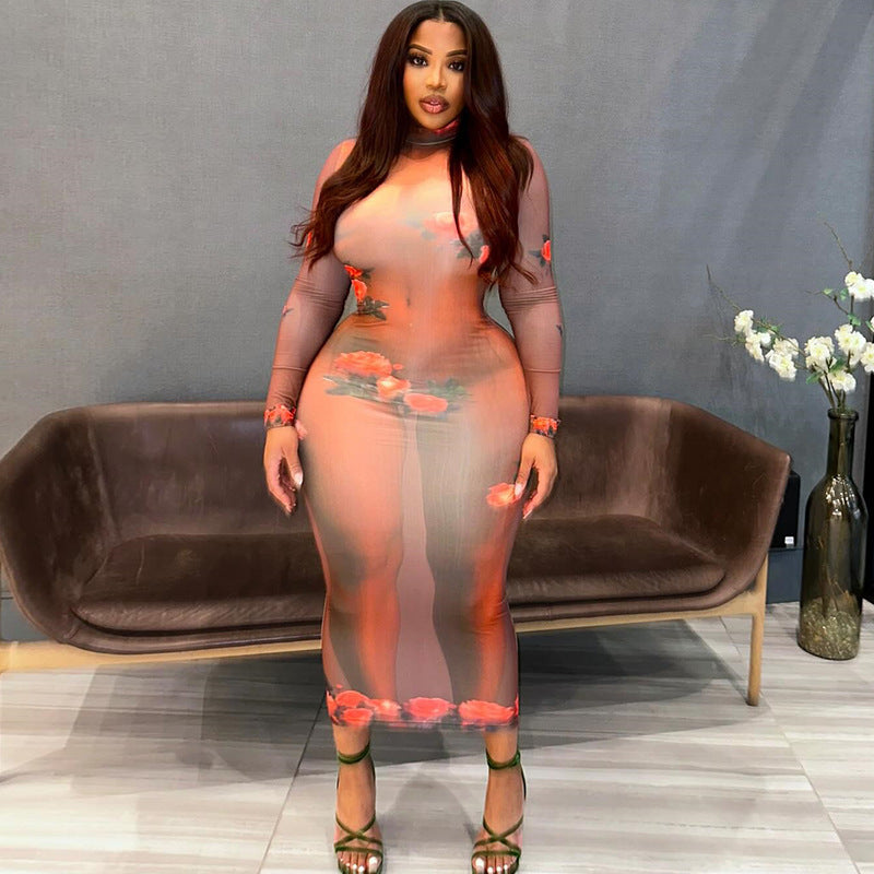 Women Round Neck Long Sleeve Printed Dress