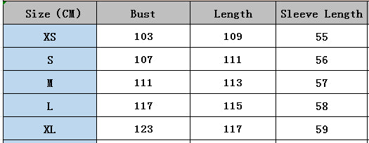 Chic Turndown Collar Long Sleeve Autumn Winter Loose Shirt Denim Dress 7