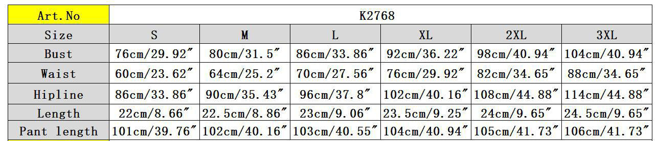 Sexy Solid Color Straps V Crop High Waist Elastic Solid Color Micro Two Piece Pants Set 16