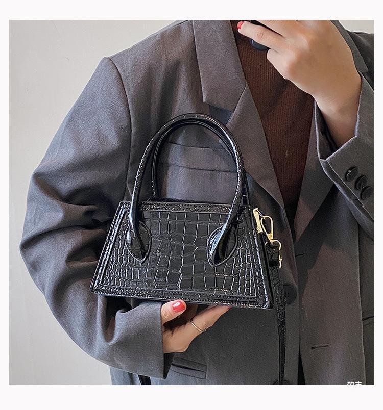 Women's Autumn And Winter Trendy Fashion Crossbody Bag Women's Handheld Small Square Bag 15