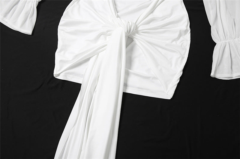 Autumn Women's Fashion Solid Color Chic Sexy Deep V-Neck Long Sleeve Bodycon Dress 15