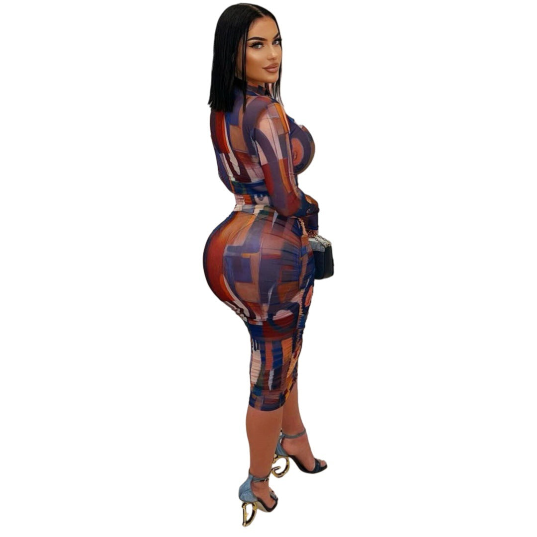 Women Elegant Printed Mesh Pleated Dress 5