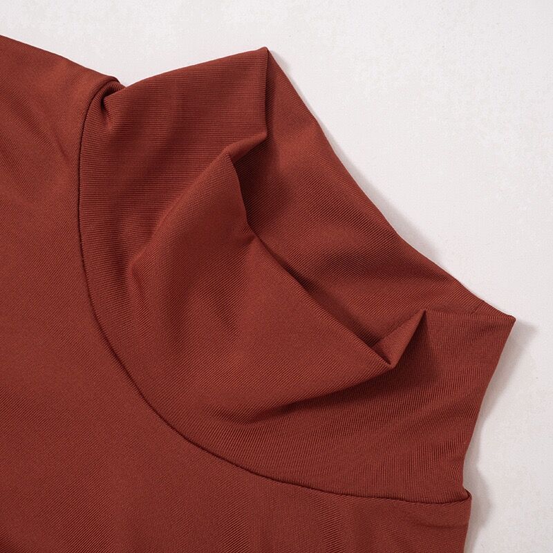 Women's Autumn And Winter Tight Fitting High Neck Long Sleeve Tops And Pants Two-Piece Street Casual Suit For Women 17