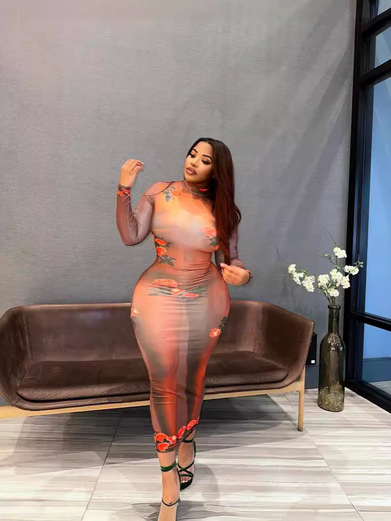 Women Round Neck Long Sleeve Printed Dress 3