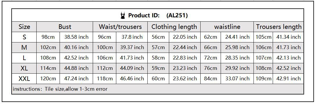 Women Casual Sport Zip Long Sleeve Top and Pant Two-Piece Set 10