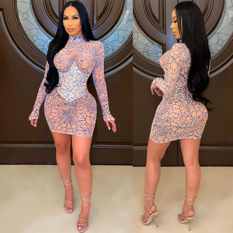 Summer See-Through Mesh Dress Women High Collar Print Long Sleeve Tight Fitting Bodycon Dress