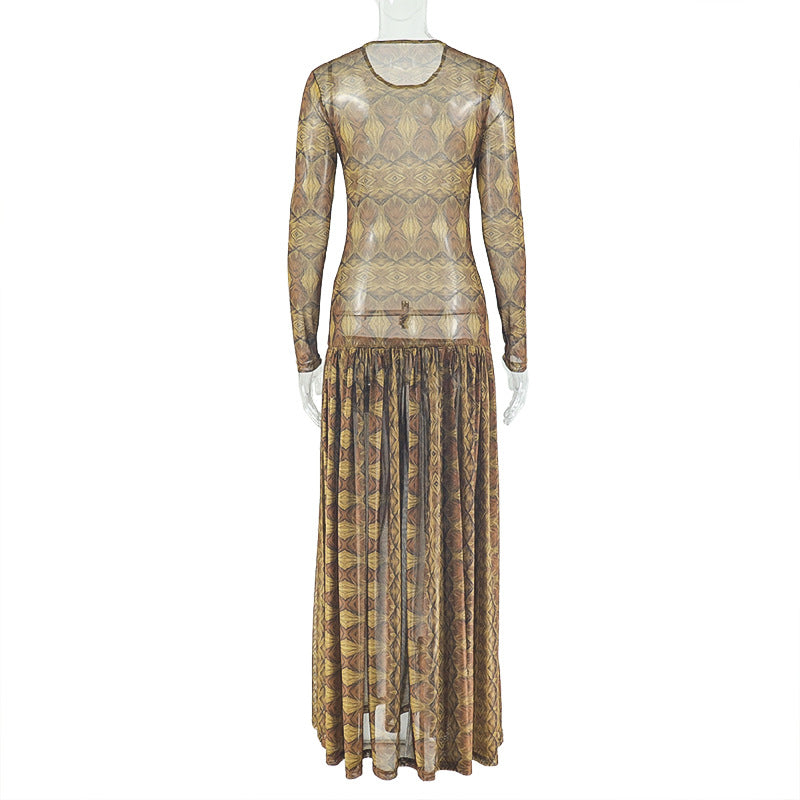 Elegant Women's Slim Waist Semi-Sheer Printed Round Neck Long Sleeve A-Line Dress 8