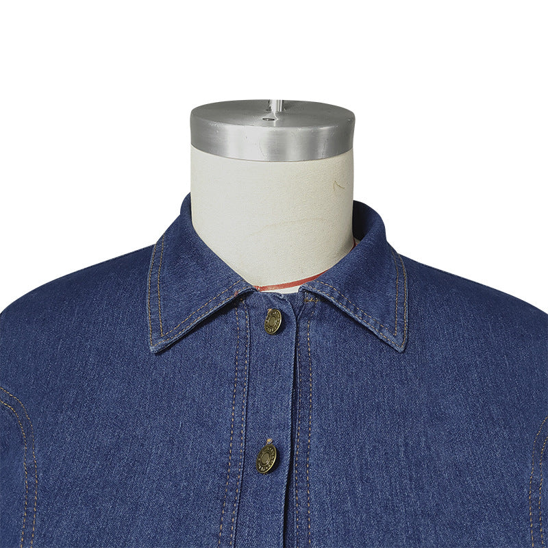 Plus Size Women Women Denim Turndown Collar Long Sleeve Dress 14