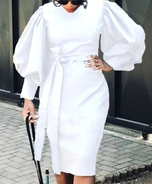 Casual Chic Career Slim Bodycon Professional Office OL Long Dress 10