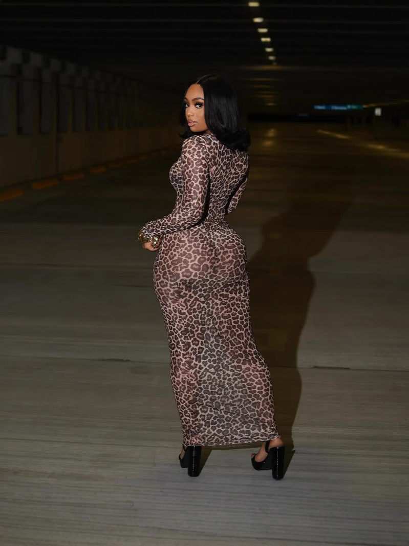 WomenŸ??s Sexy Fashion Sheer Mesh Leopard Print Slim Long Sleeve Dress