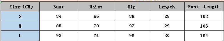 Women sexy suspender print leopard print Top and Pant two-piece set 10