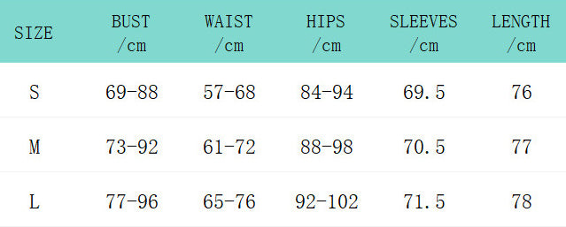 See-Through Mesh Long Sleeve Dress Sexy Beach Cover Up 8