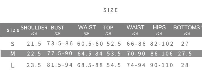 Summer Women's Zebra Print Deep V-Neck Top & Slim Shorts Set 10