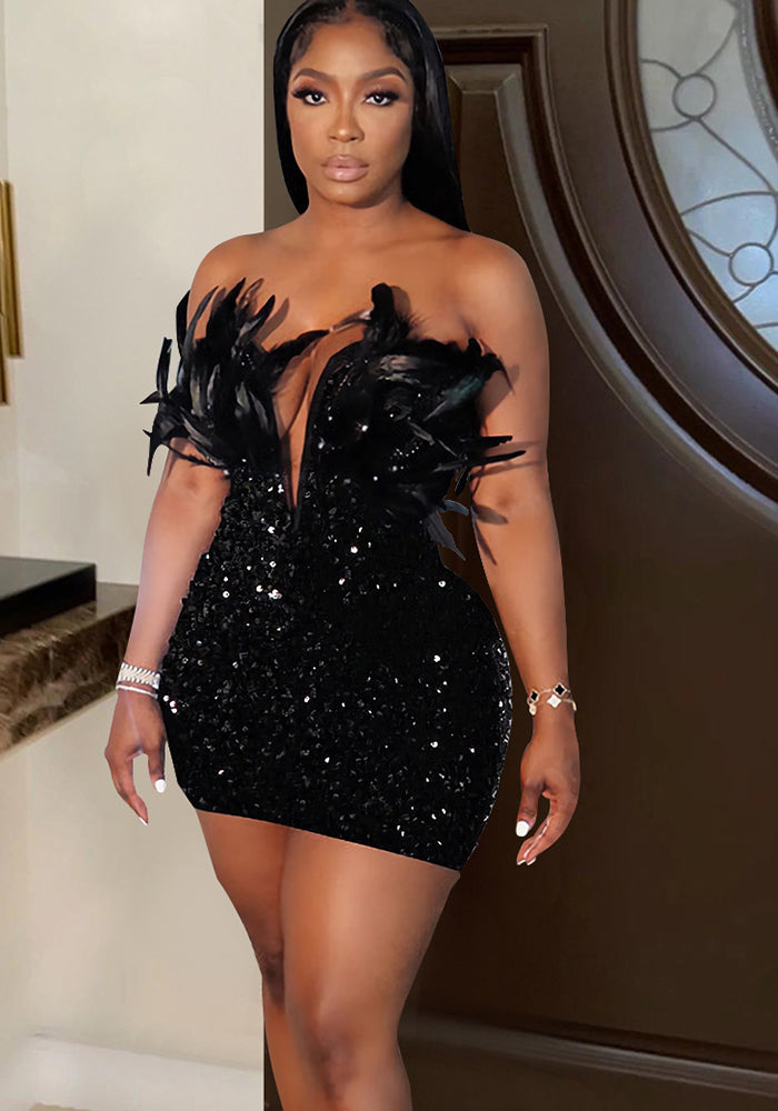 Women Sequin Feather Sleeveless Dress