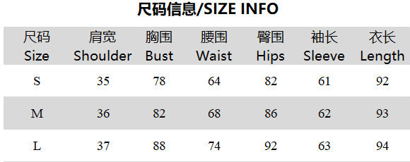 Women's Summer Leopard Print Deep V-Neck Slit Slim Waist Long Sleeve Dress 6