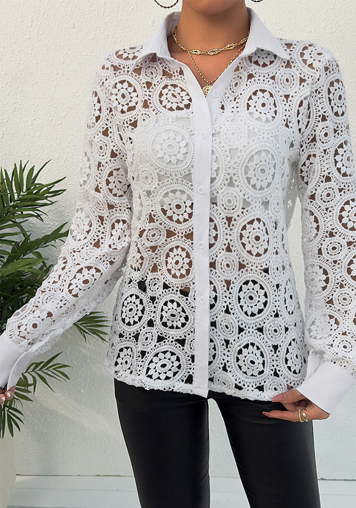 Spring Long Sleeve Lace V Neck Women's Shirt