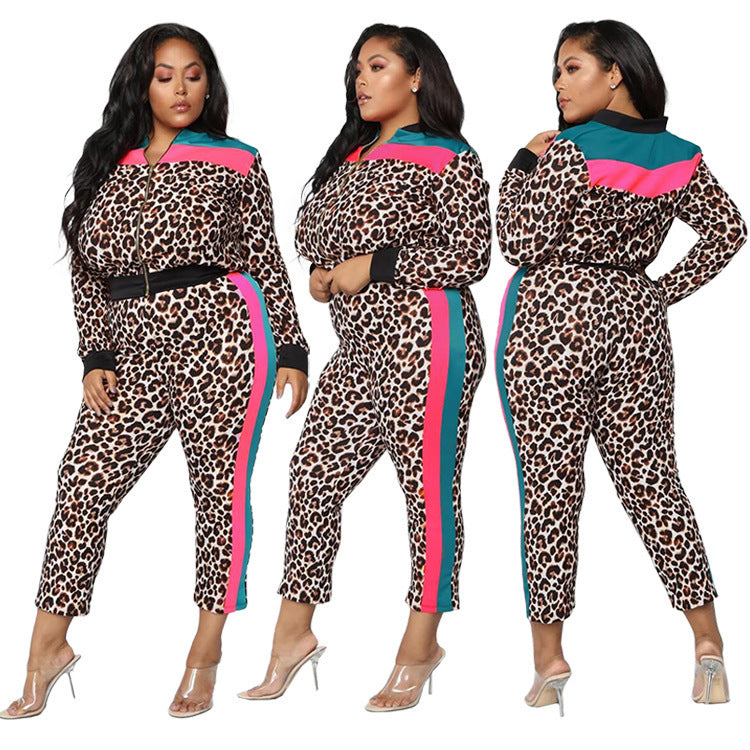 Autumn Slim Fit Set Stylish Leopard Color Block Zipper Two-Piece Pants Set 3