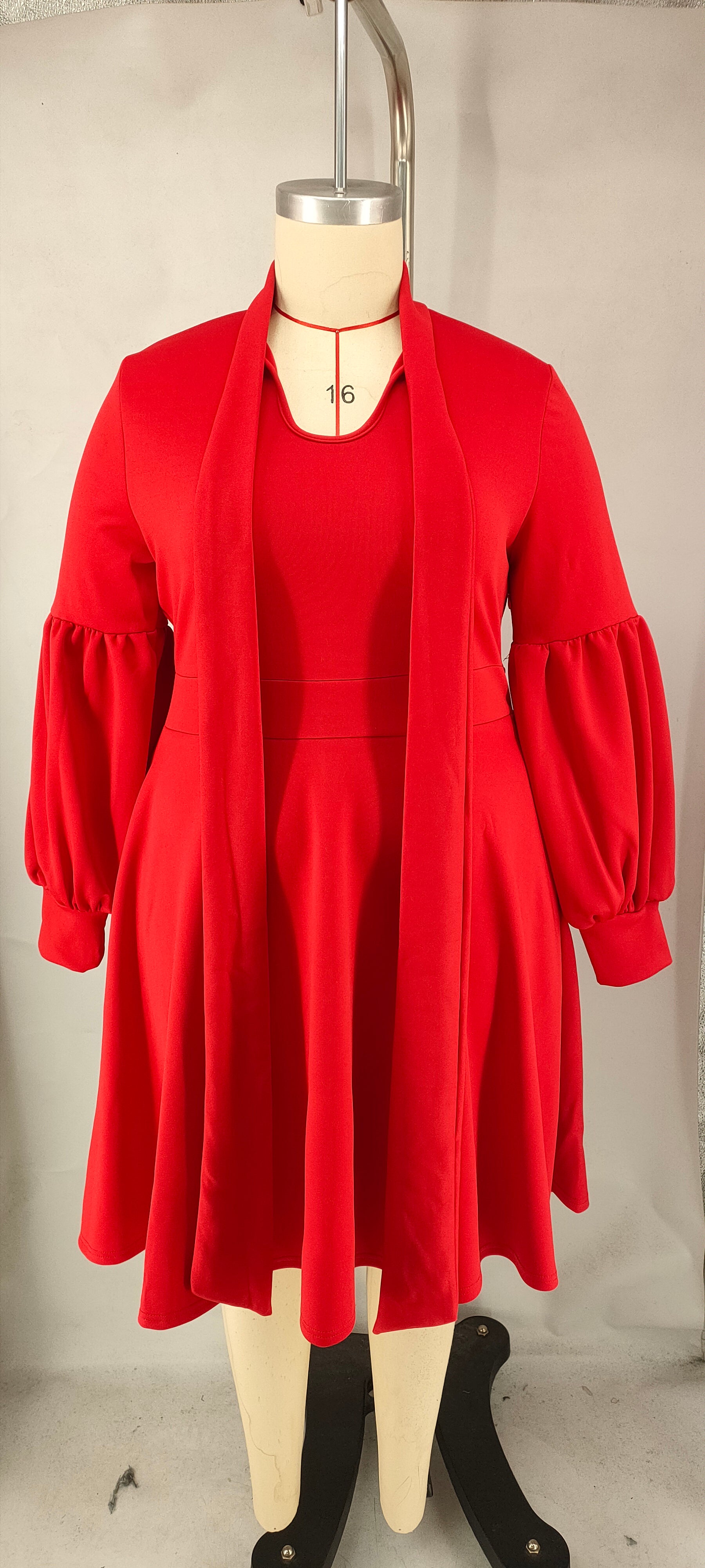 Plus Size Women's tied Neck Puff Long Sleeve A-line Dress 11