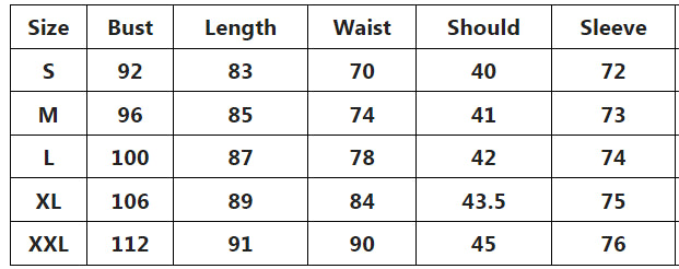 Women Spring Round Neck Long Sleeve Dress 4