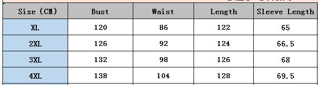 Plus Size Women Printed Puff Sleeve Dress 7