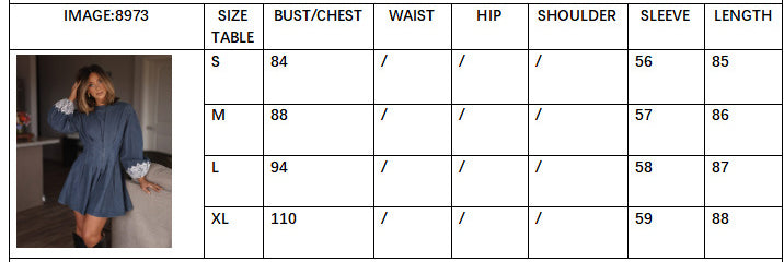 Women spring elegant Denim long sleeve dress 6