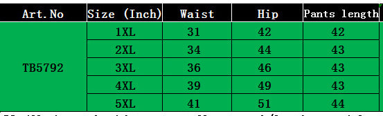 Classic Check Casual Plus Size Pants 7