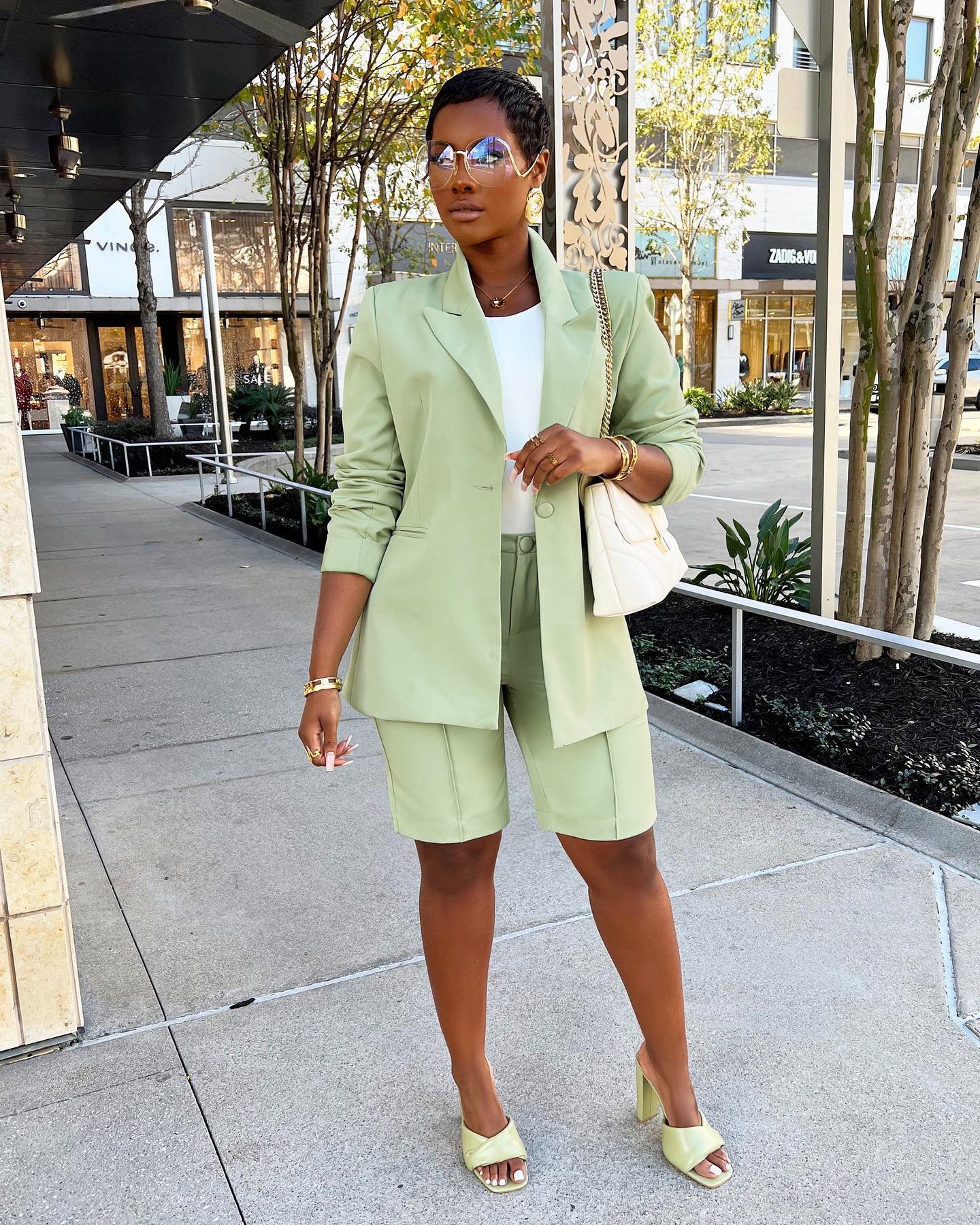 Women Career Blazer and Shorts Two-Piece Set 6