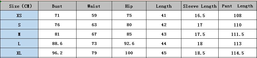 Printed Short-Sleeved Two Piece Trousers Set Sexy Women's Clothing 6