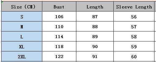 Fall Women's Chic Print Cardigan Turndown Collar Loose Shirt Dress 14