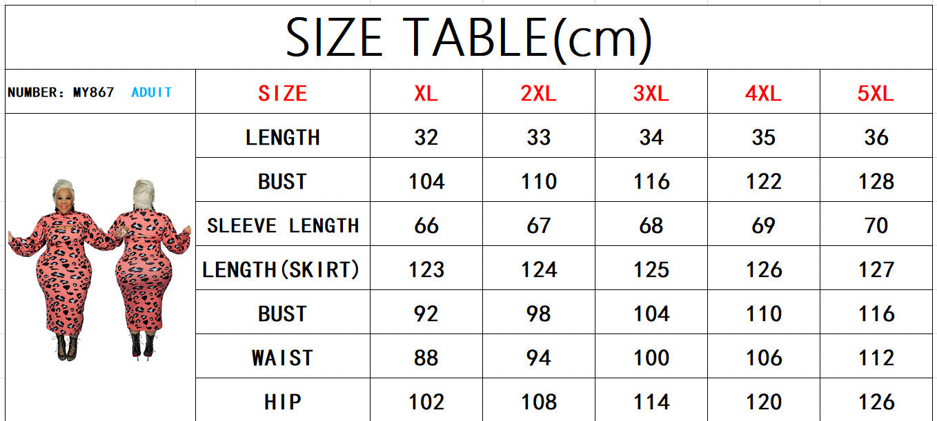 Sexy Plus Size Women's Spring Leopard Print Puff Sleeve Dress 8