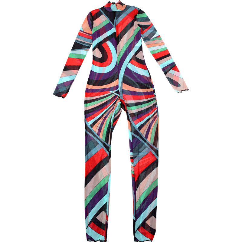 Women Winter Trend Multi-Color Printed Half-High Neck Long Sleeve Mesh Dress 9