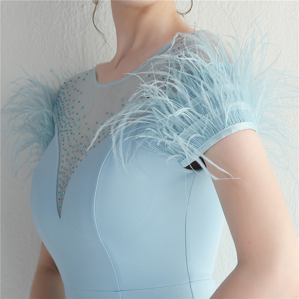 Mesh Beaded + Embellished Feather Star Red Carpet Long Evening Gown 42