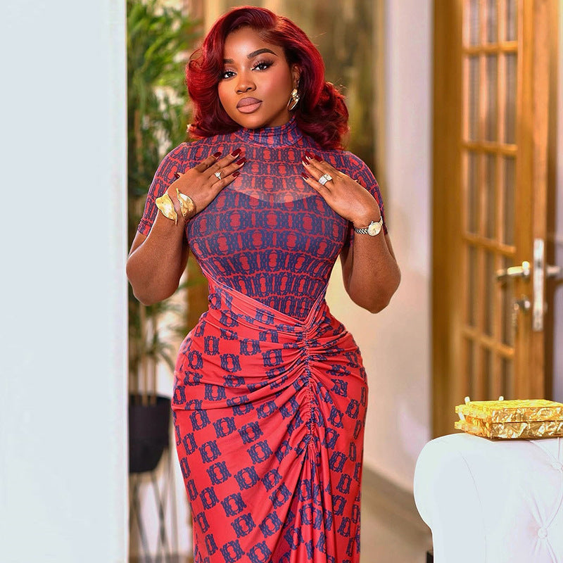 Slim Waist Women's See-Through Mesh Patchwork Pleated Printed High Neck Long Dress