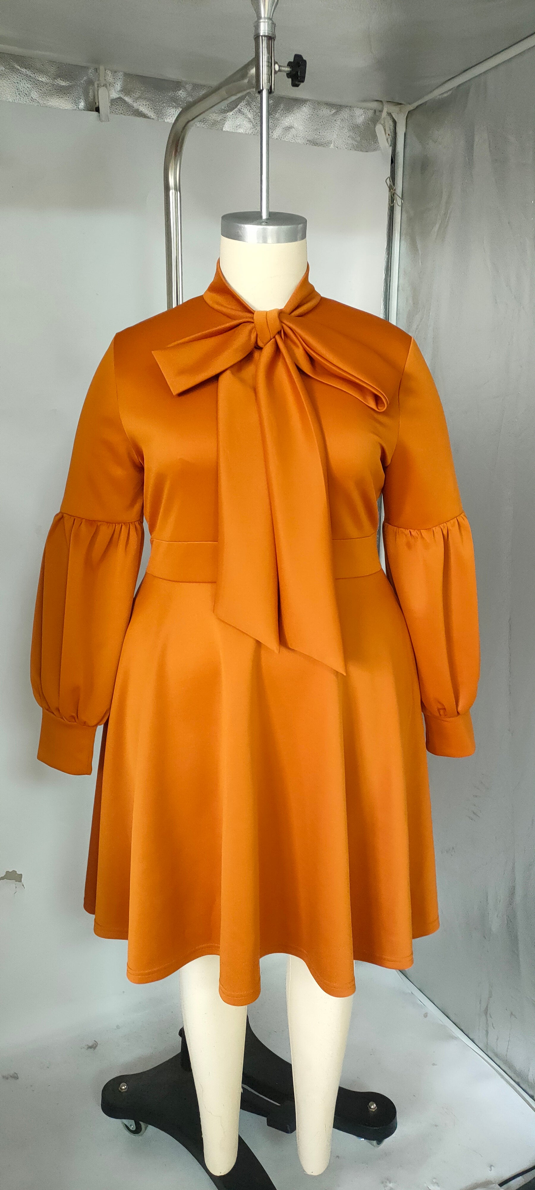 Plus Size Women's tied Neck Puff Long Sleeve A-line Dress 13