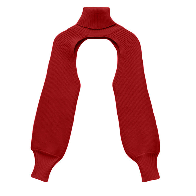 Women Lantern Sleeve High Neck Sweater 28