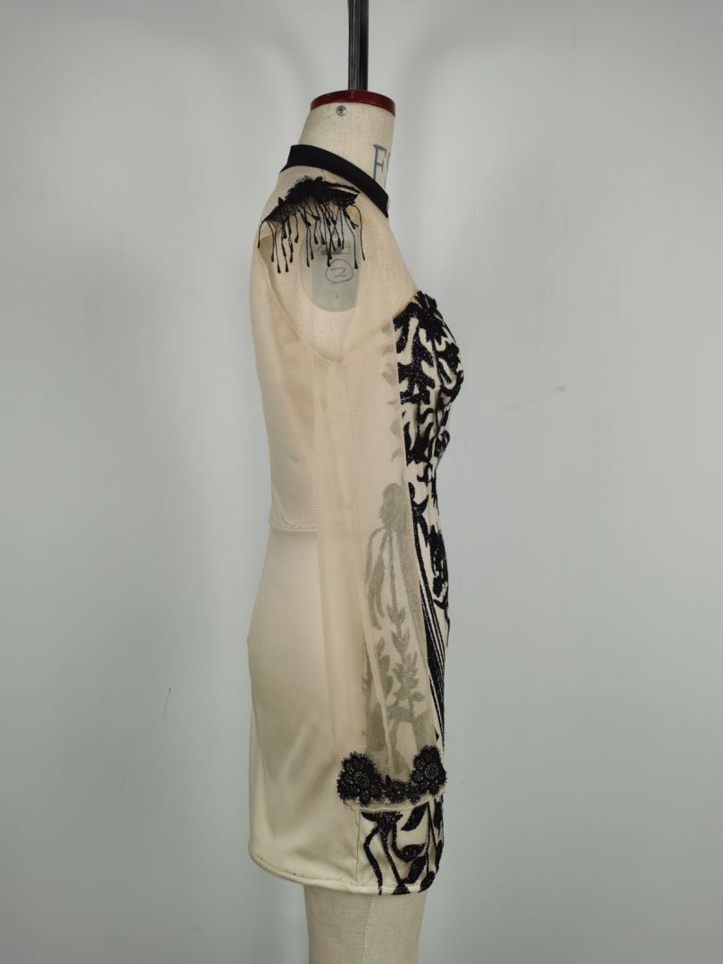 Spring/Summer Women's Sexy Shiny See-Through Formal Party Dress 9