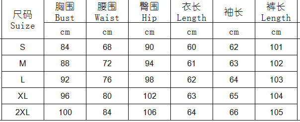 Women Fall Turndown Collar Long Sleeve Top and Pants Two-piece Set 8