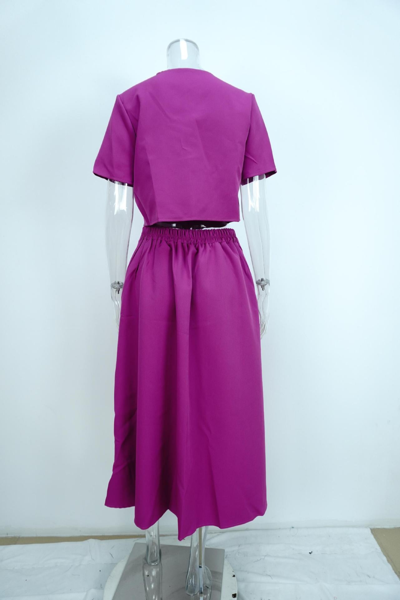 Elegant Solid Short Sleeve Spring Casual Two Piece Skirt Set 13