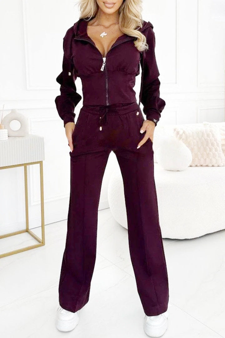 Women Fall/Winter Hooded Zipper Top and Pant Solid Two-Piece Set 4