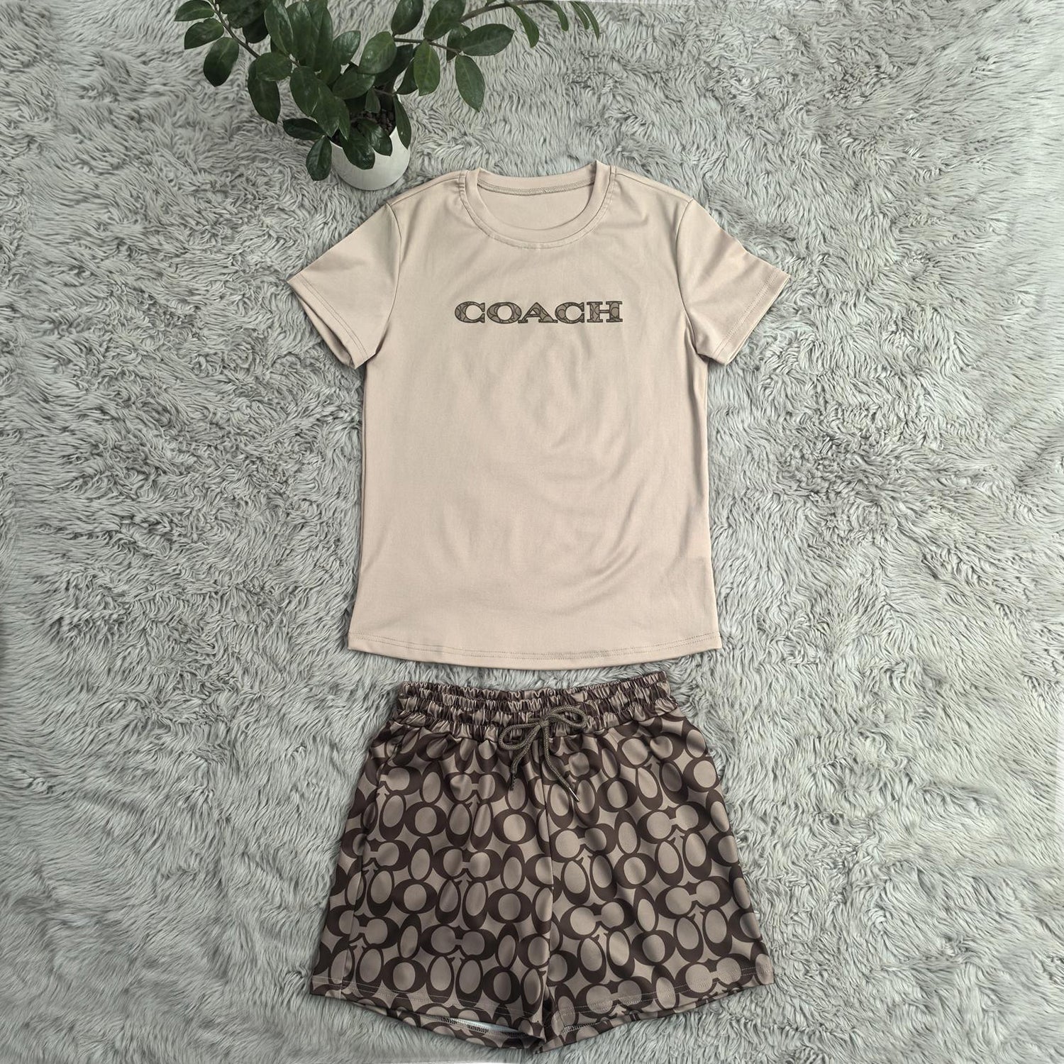 Women casual printed short-sleeved Top and shorts two-piece set 18